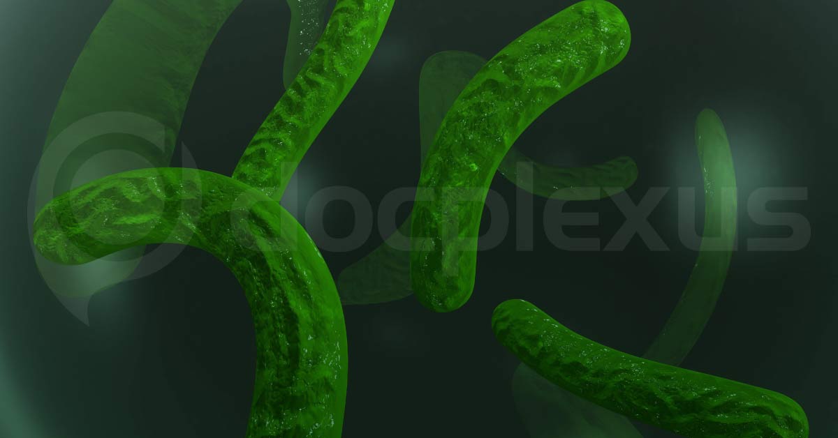 A New Substance Found To Kill Tubercular Bacteria Aggressively With Antibiotic