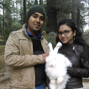 Amol R Katkar