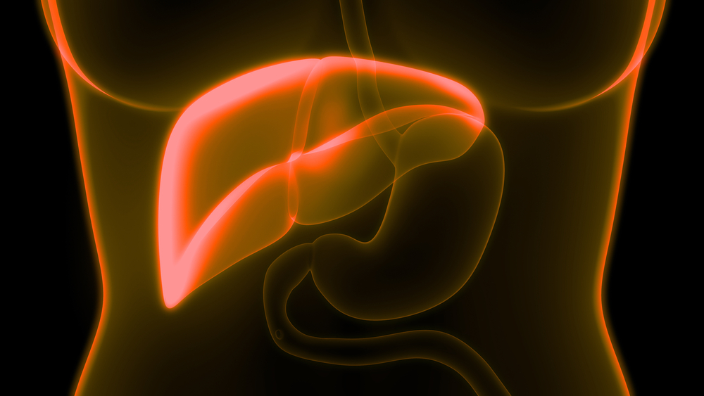Fatty Liver Lifestyle Disease Of Modern Time