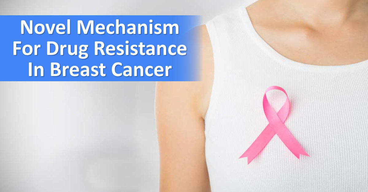 Novel Mechanism For Drug Resistance In Estrogen Positive Tumors