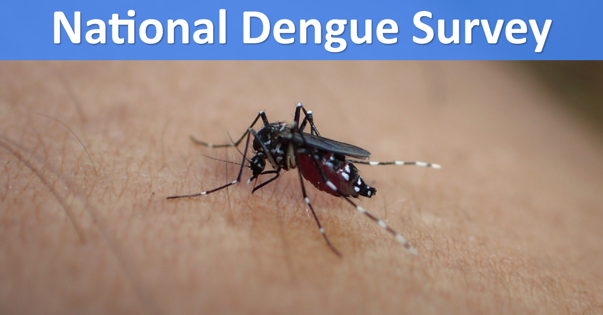 Indian Government To Lauch A Survey On Dengue Epidemiology
