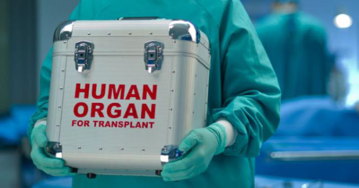 Organ Banks For Transplants May Become A Reality