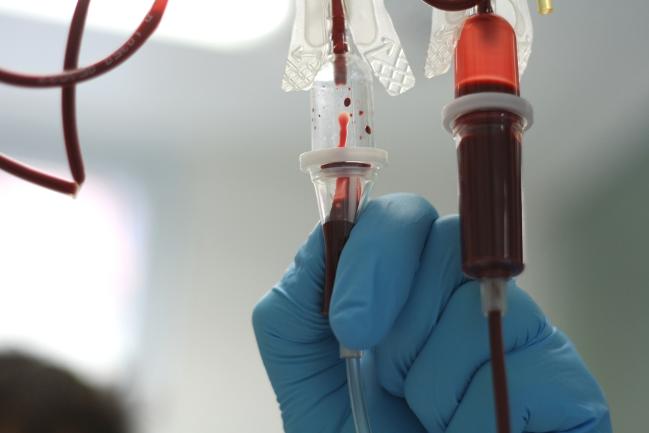 Immortal Stem Cells Will Generate Unlimited Supply Of RBCs