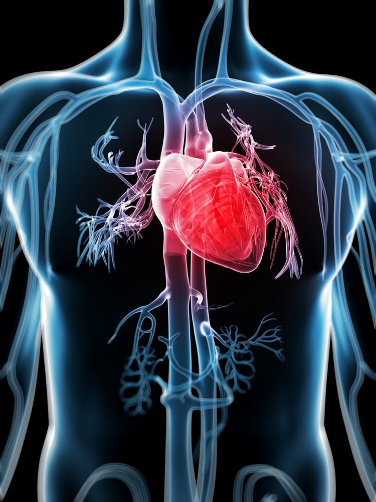Mitral Valve Prolapse Syndrome Newer Info