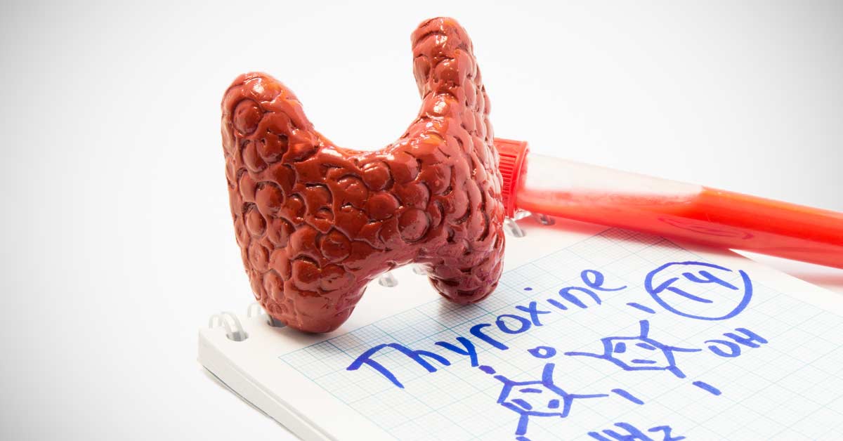 Thyroxine, What We Should Know