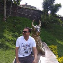 Mrunalini S Umrikar