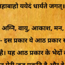 Raman Panda Radha