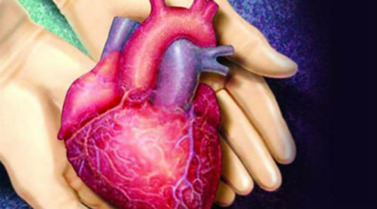 Functional Beating Heart Being Constructed  From The  Stem Cell