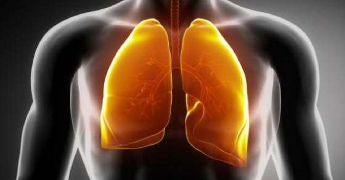 Polymicrobial Pulmonary Infection In Patients With Hematological Malignancies