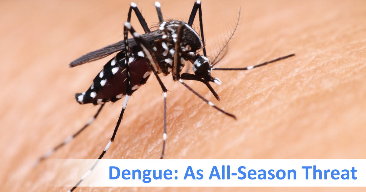 Dengue, An All Season Threat