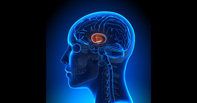 Pituitary Apoplexy Management : Society of Endocrinology Guidelines 2011