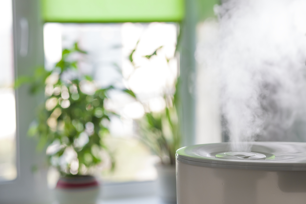 Truth About Humidifiers