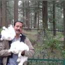 Amit  Kulkarni