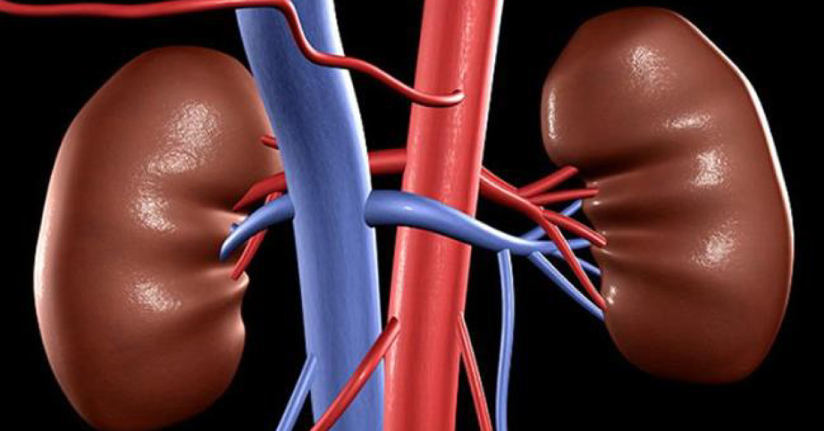 Urine Of A Patient Can Predict Death Risk