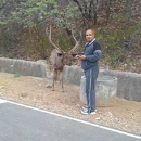 Daulat Ram Patel