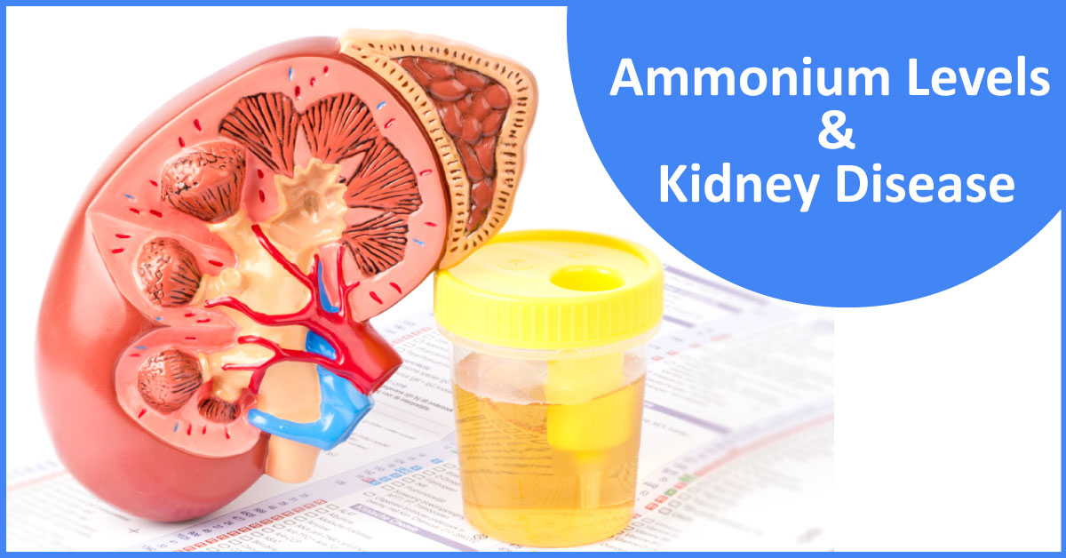 Low Urine Ammonium Predicts Poor Outcomes In CKD