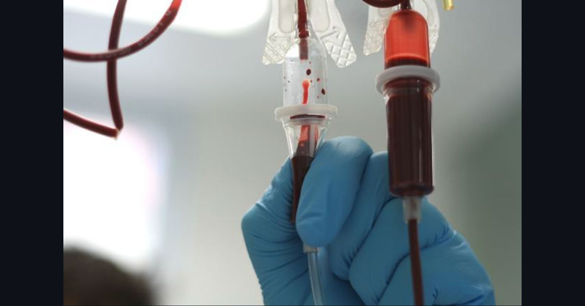 Shortage Of Blood But Six Lakh Litres Of Blood Wasted