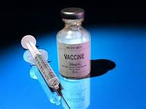Vaccine Additives And Preservatives Immunization Basics