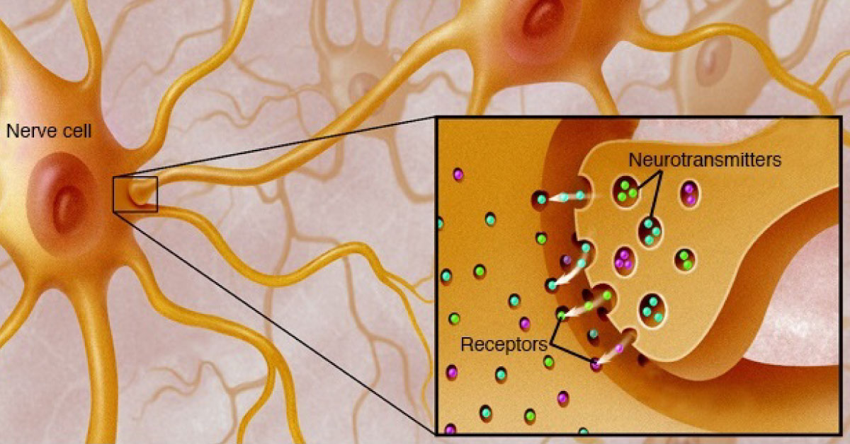 Myasthenia Gravis In Short
