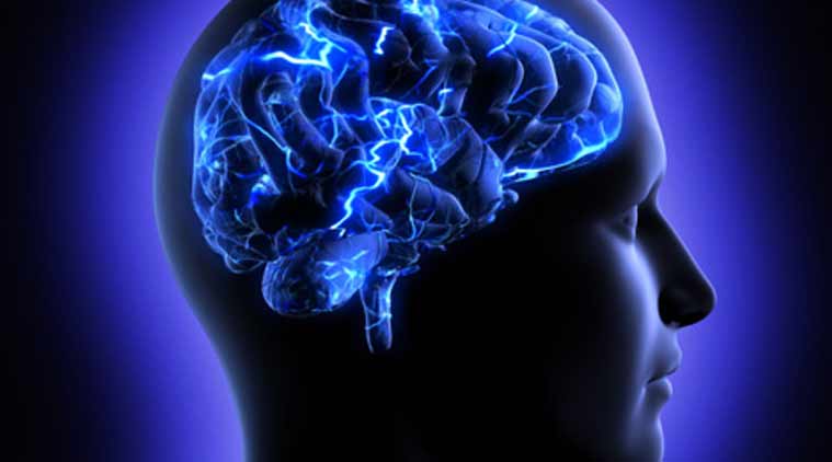 Antiparasitic Drug Mebendazole The Next Weapon Against Brain Cancer