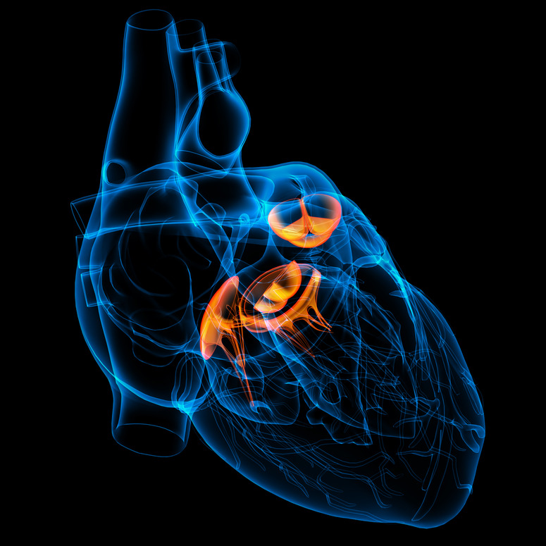 Valvular Heart Disease : ESC Guidelines