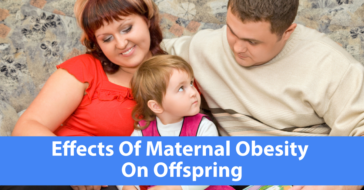 Neurodevelopment And Psychotic Disorders In Infants, Effect Of Maternal Obesity
