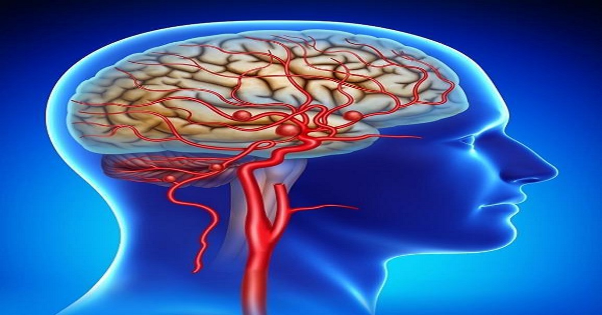 Walk Daily To Keep Our Brain Healthy