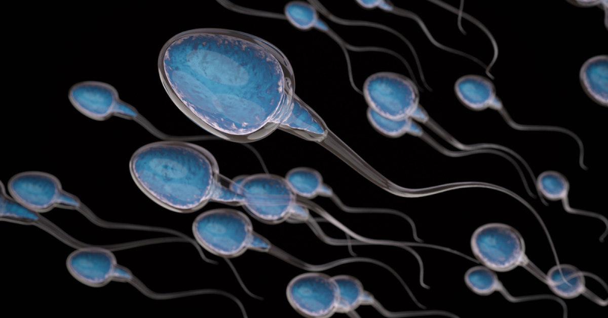 Test To Score Sperm Function