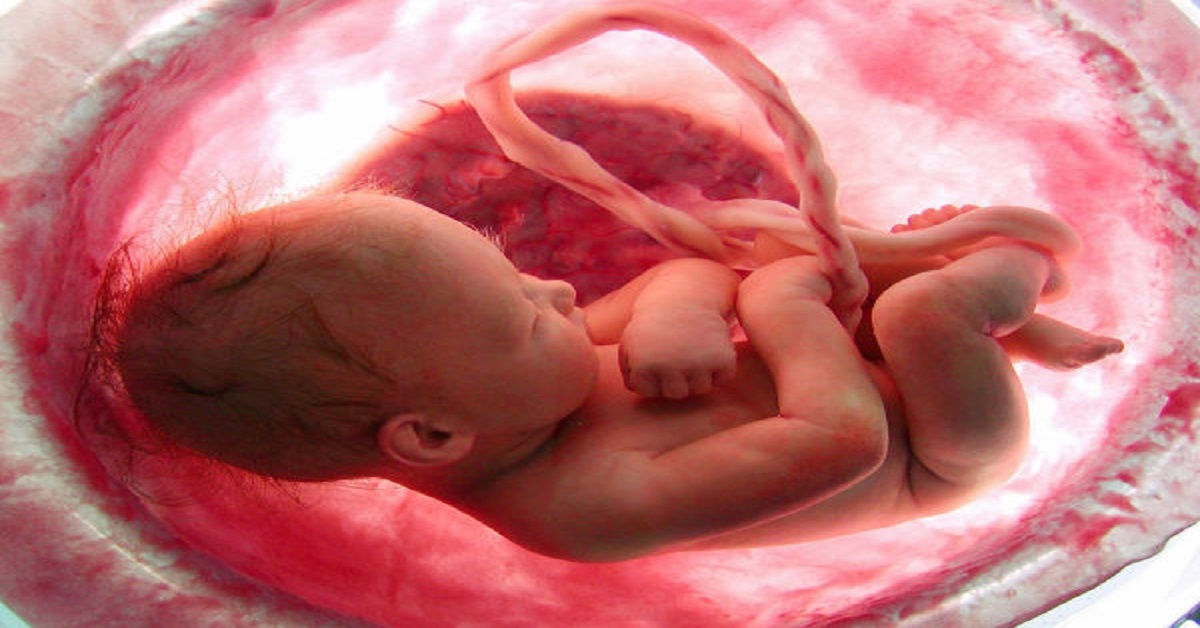 ICMR Objects, State Government Approves India's First Uterine Transplant