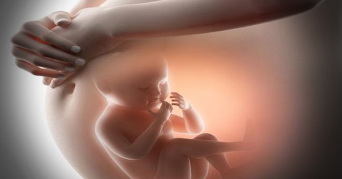 India's First Womb Transplant On May Eighteen
