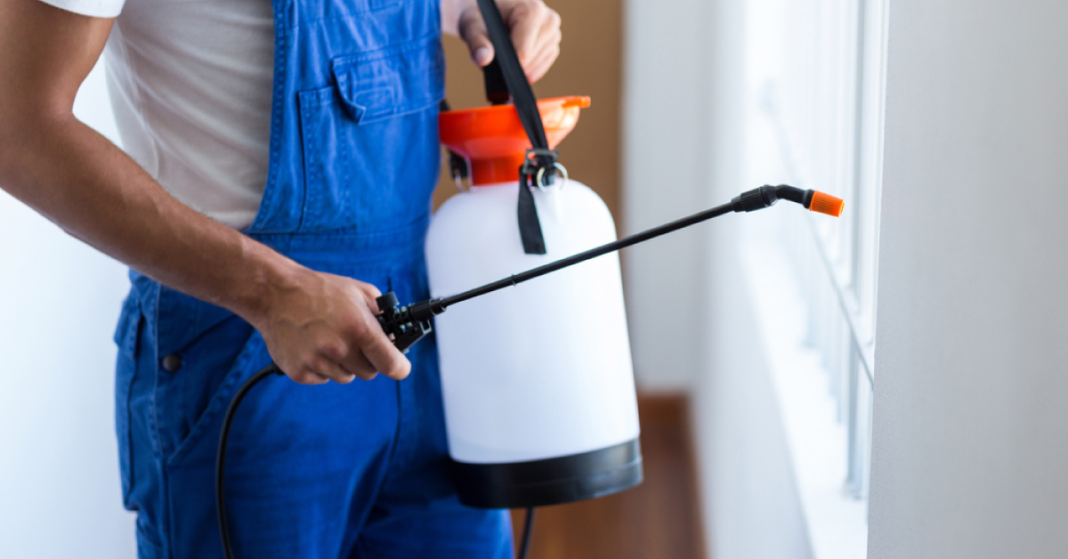 Pest Management And Asthma
