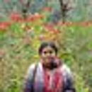 Midhat Siddiqui