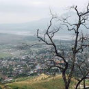 Pushpa Potaliya