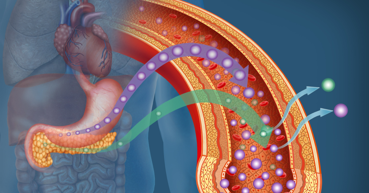 HOMA IR, Insulin Resistance
