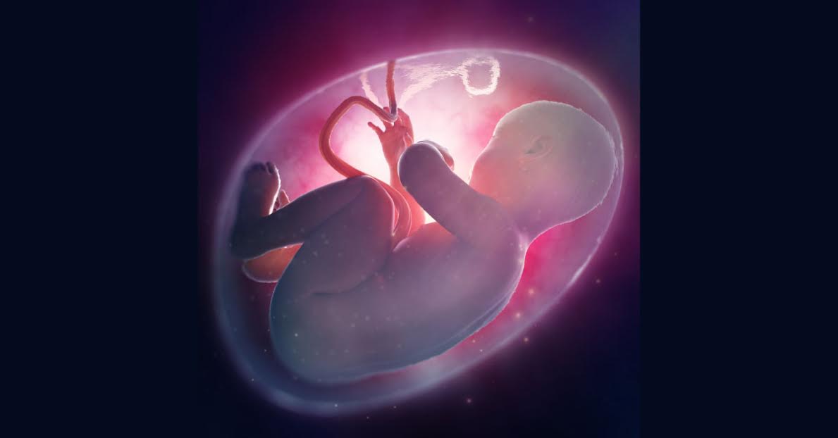 Indias First Successful Womb Transplant At Pune