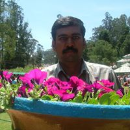 Haribaskar Ramamoorthy