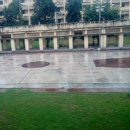Abhishek Yadav