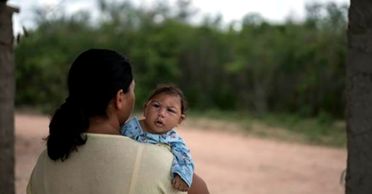 Australian Plant Extract Can Cure Zika Virus