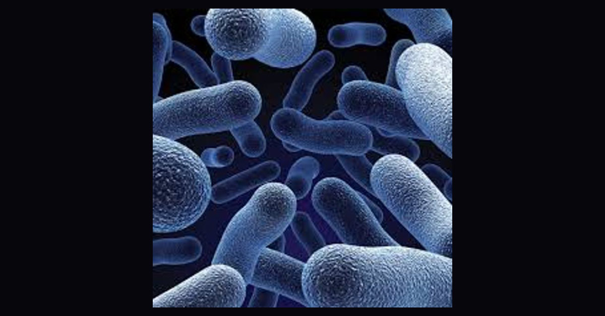 Probiotics Seems To Be Helpful In Treating Diarrhoea In Children And Alzheimer's In Elders