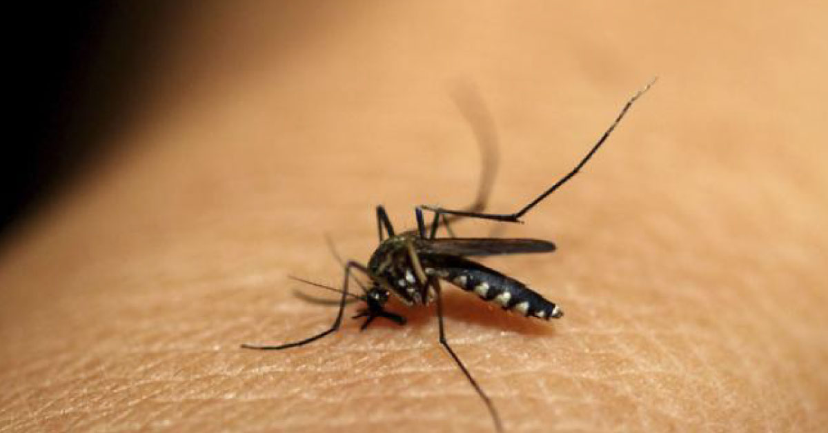 New Rapid Test Can Accurately Diagnose Malaria