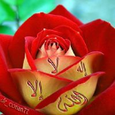 Massrat Firdos