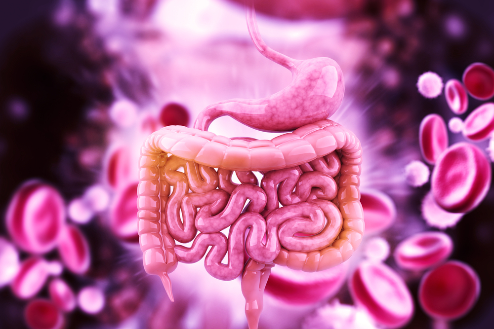 Aspirin Increase Risk Of Fatal Bleeding In Elderly Stroke Patients