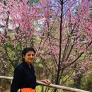 Atul  Gupta