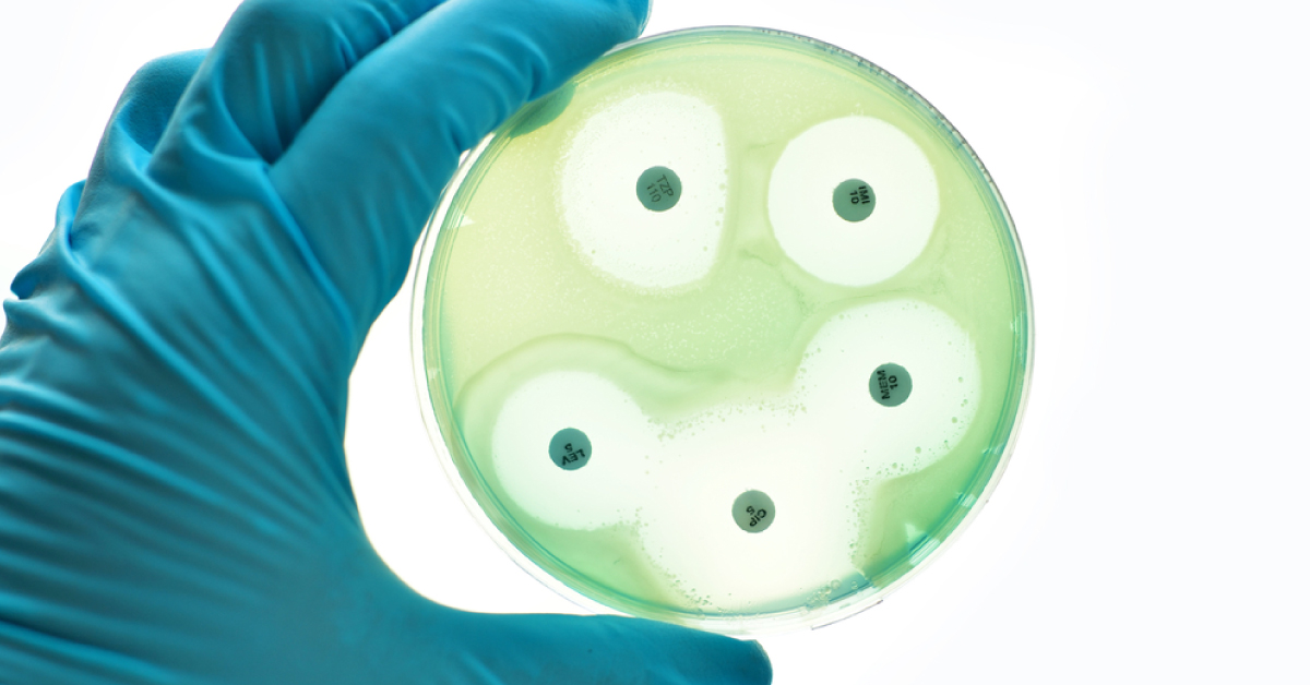 New Antibiotic Effective Against Drug-Resistant Bacteria Developed