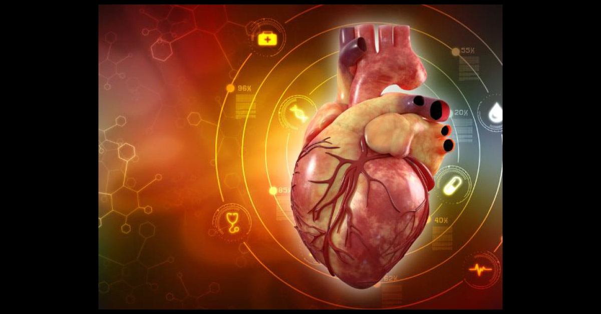 Congenital Heart Disease Detection Made Easy In A Medical Camp