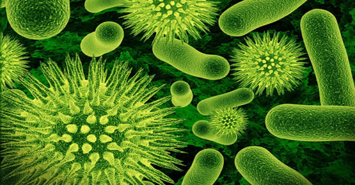 A Case Of Epstein Barr Virus Infection