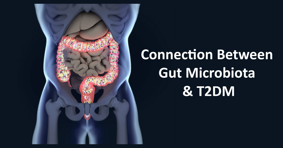 Gut Bacterial Infection May Lead To Metabolic Syndrome T2DM