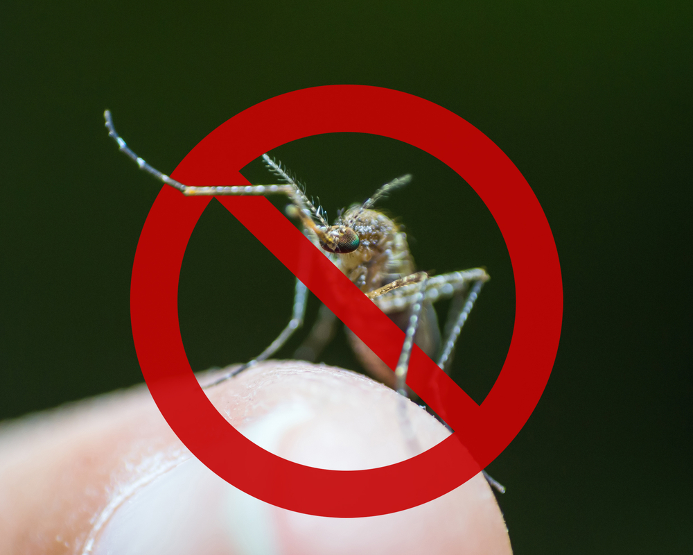 Physical Method Of Mosquitoes Eradication
