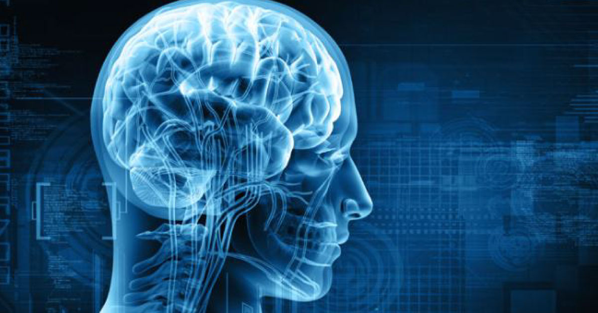 Theory Of Brain Behaviour In Neurological Disorders