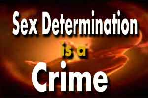 Court Refuses To Release Ultrasound Machine Seized In PNDT Raid
